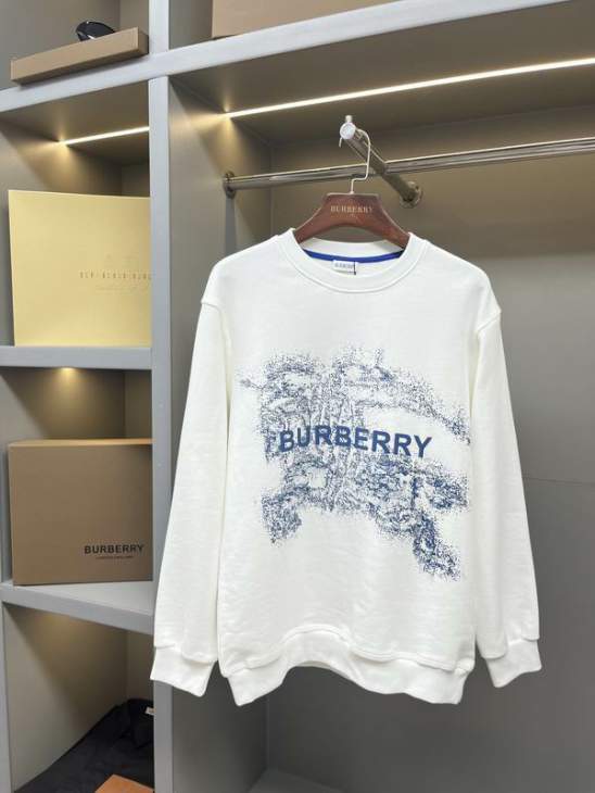 Picture of Burberry Sweatshirt _SKUBurberryS-2XLaztx872030975